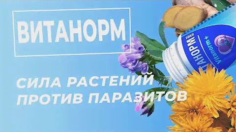Витанорм – полезные свойства, зачем нужен и как принимать